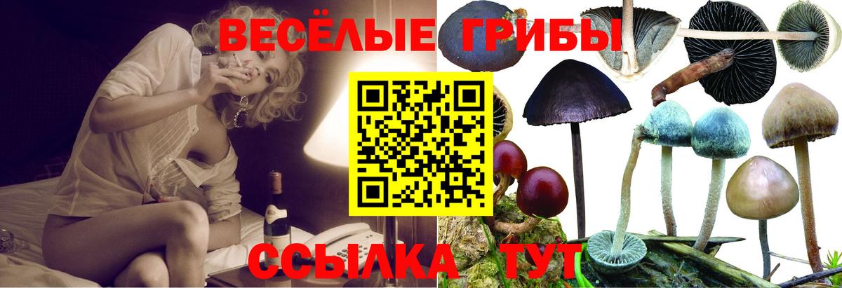 Рузаевка  закладки  Вход с VPN  Галлюциногенные грибы Psilocybine cubensis 